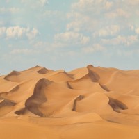 Hours Long Desert Safari Deals in Dubai